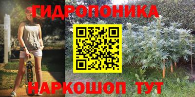 ГАЛЛЮЦИНОГЕННЫЕ ГРИБЫ Аргун