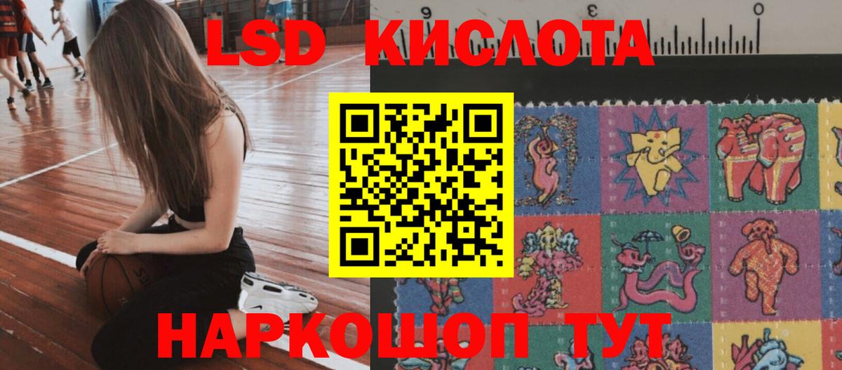ГАШ Артём
